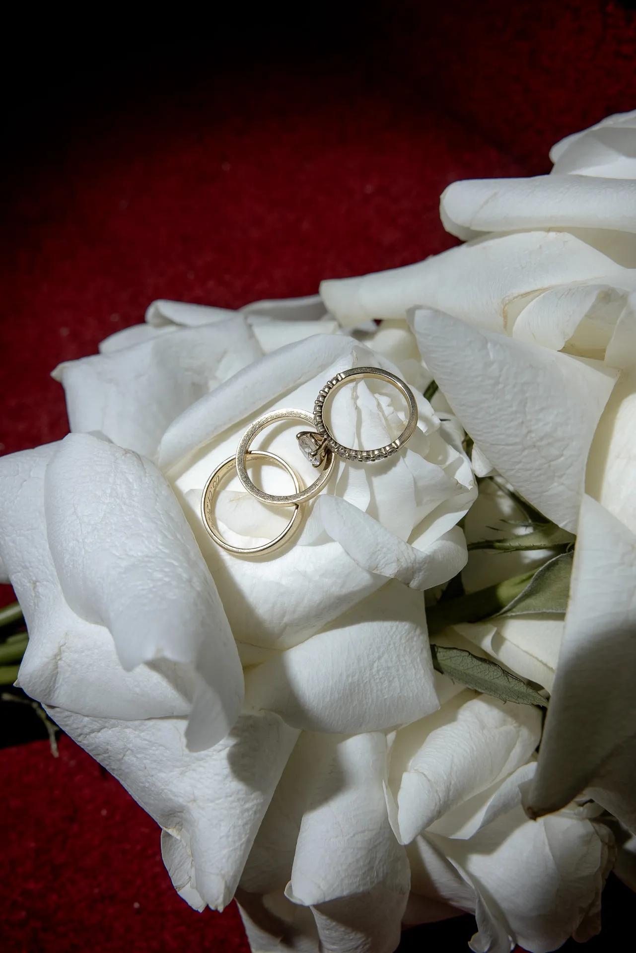 Detail shot wedding rings on white rose with red background
