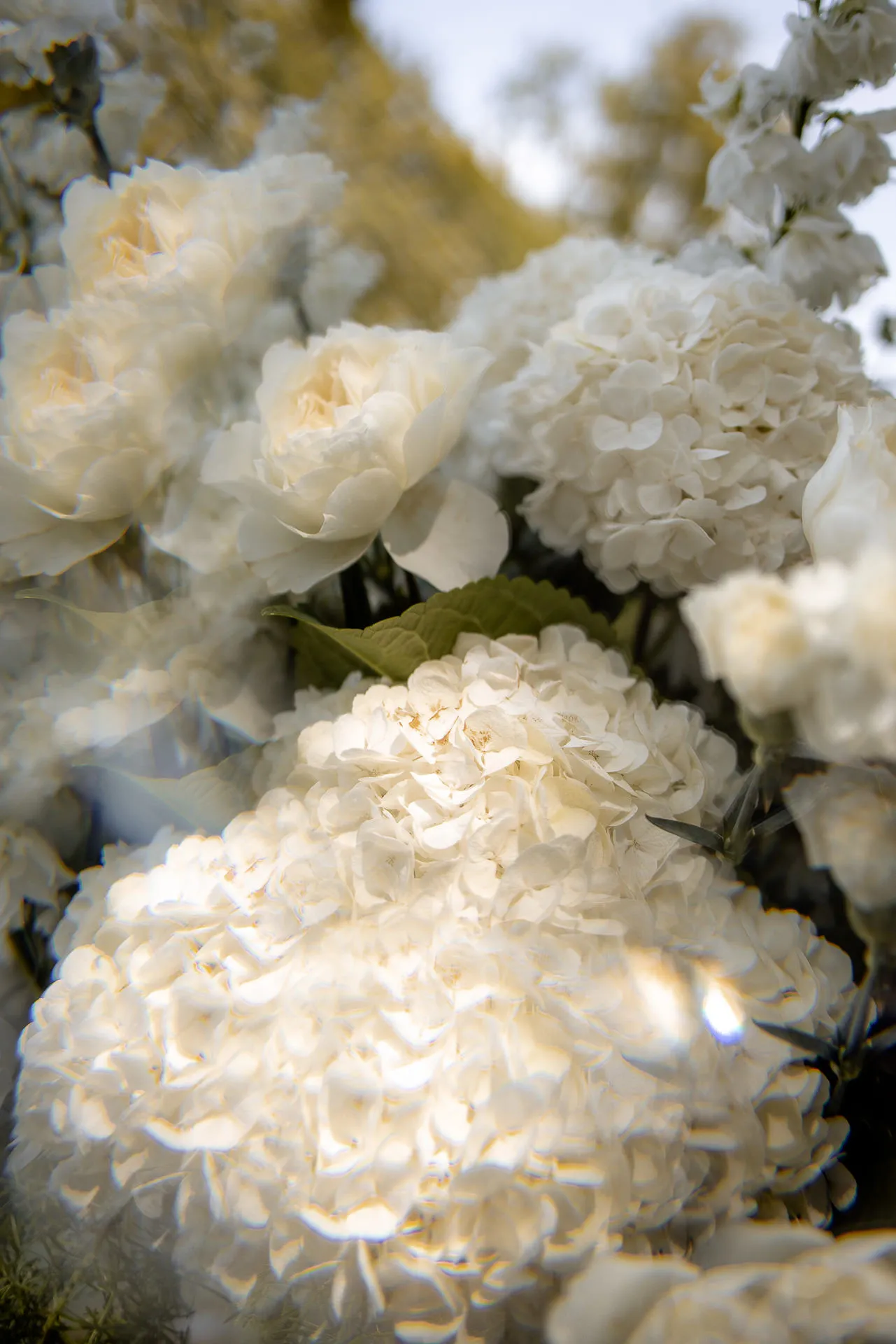 Romantic white carnation arrangements as wedding decoration in Italy