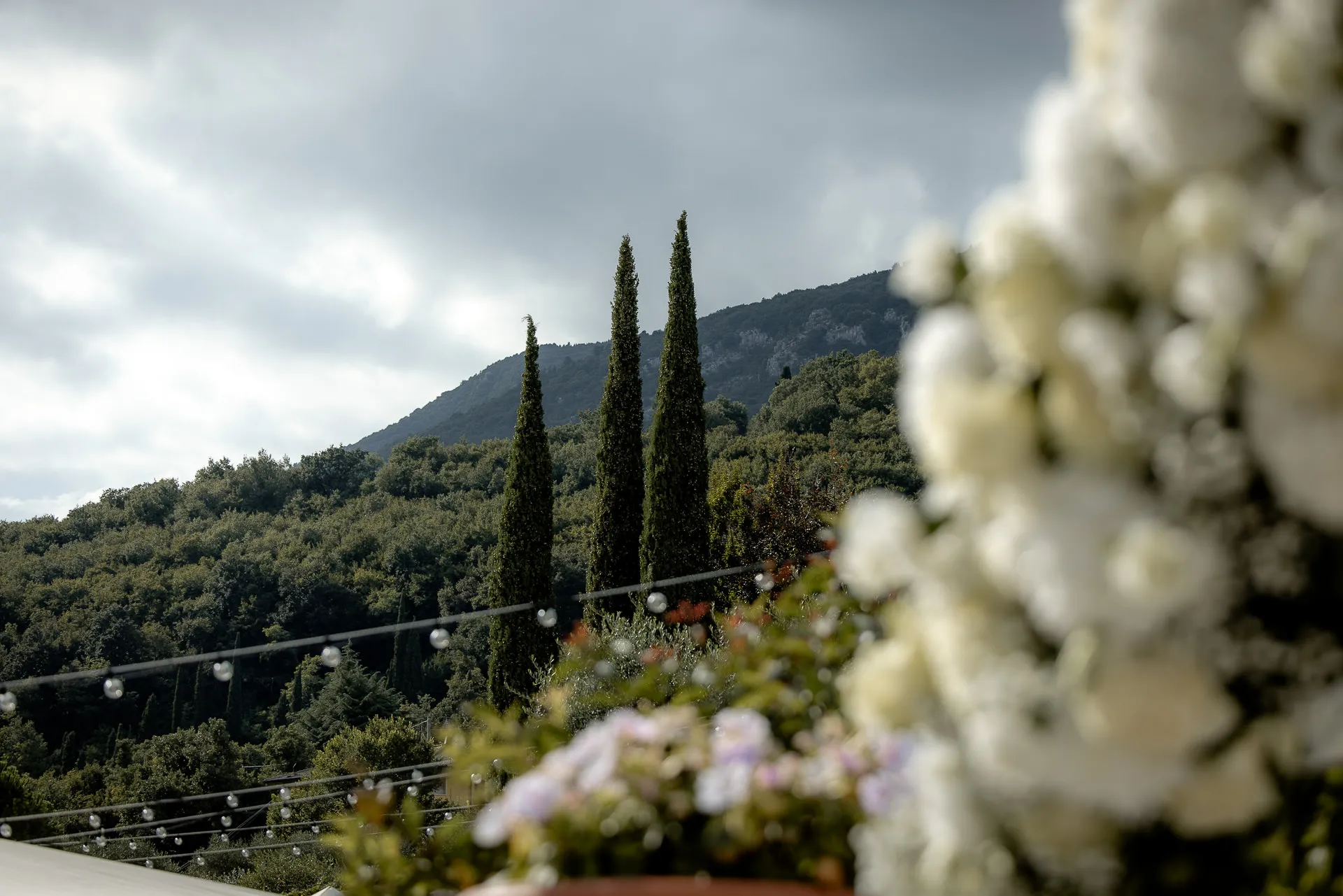 Cypress trees and floral decoration with mountain panorama at Lake Garda